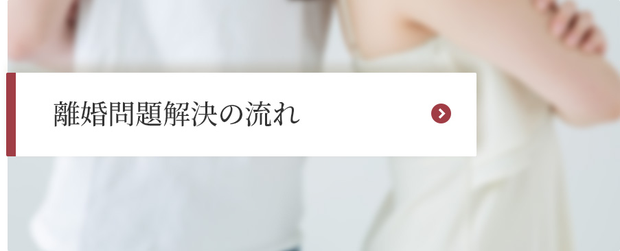 離婚問題解決の流れ